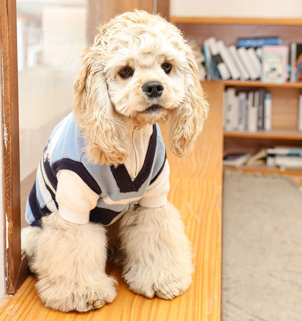 Dog and Cat Sweater, Pet Clothes, Autumn and Winter