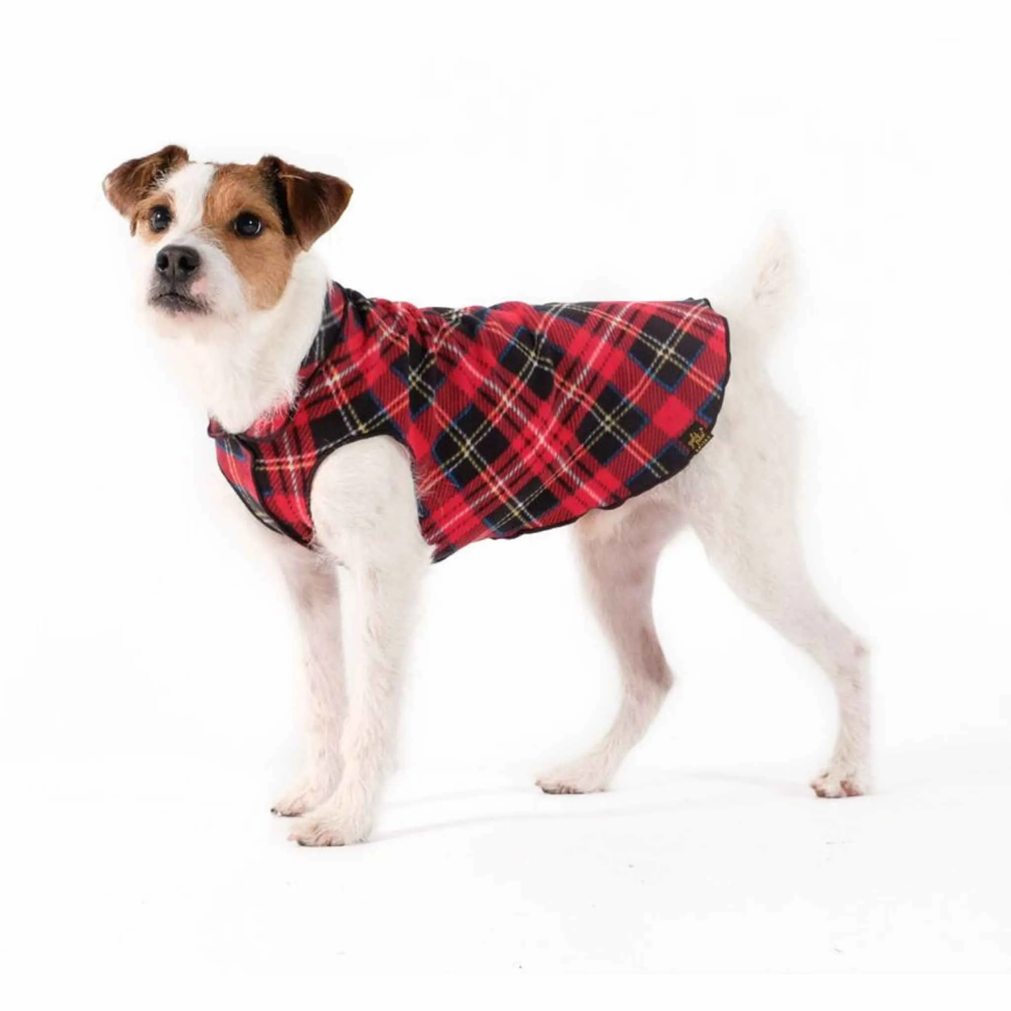 Gold Paw Stretch Fleece for Small Dogs - Plaid