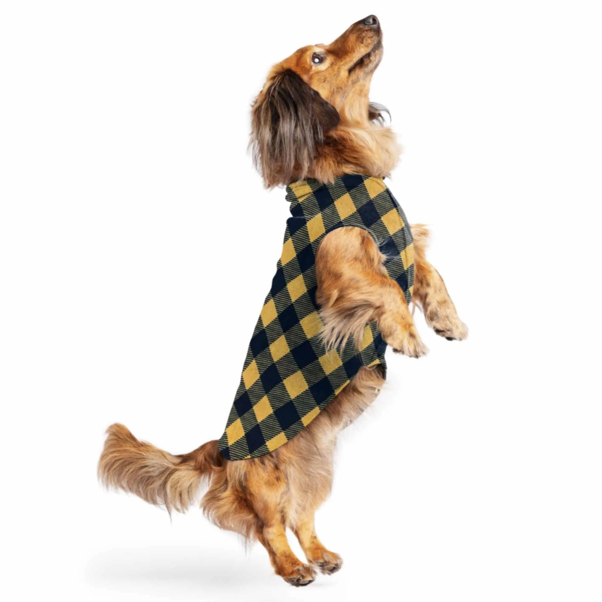 Gold Paw Stretch Fleece for Small Dogs - Plaid