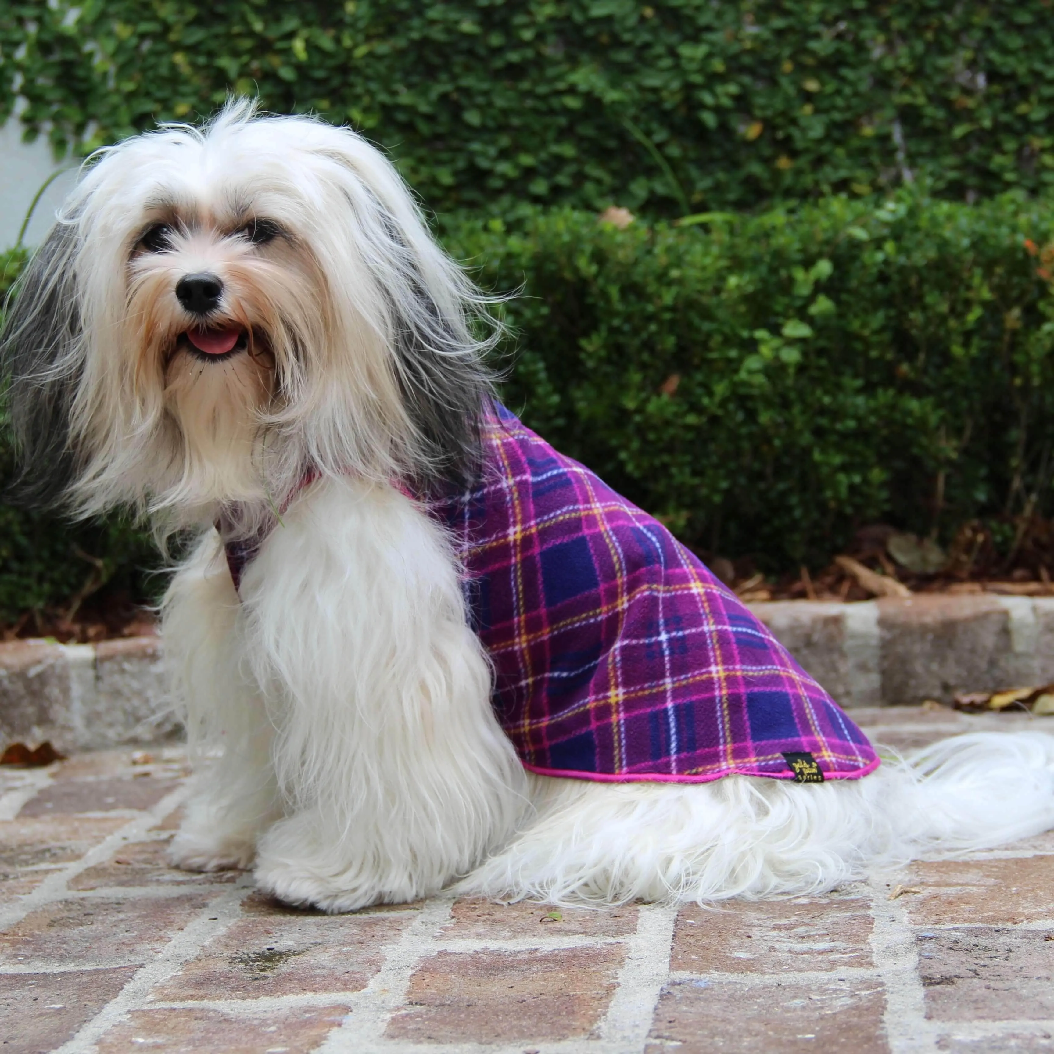 Gold Paw Stretch Fleece for Small Dogs - Plaid