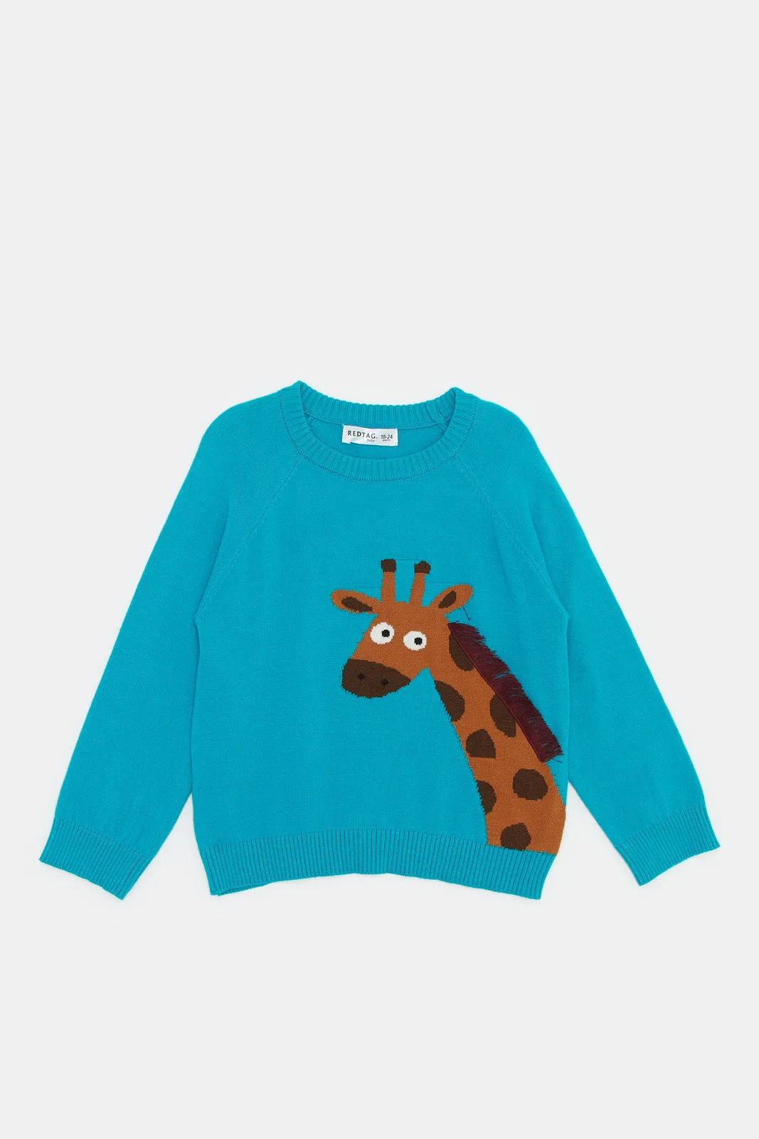 Infant Boys Blue Giraffe Pullover