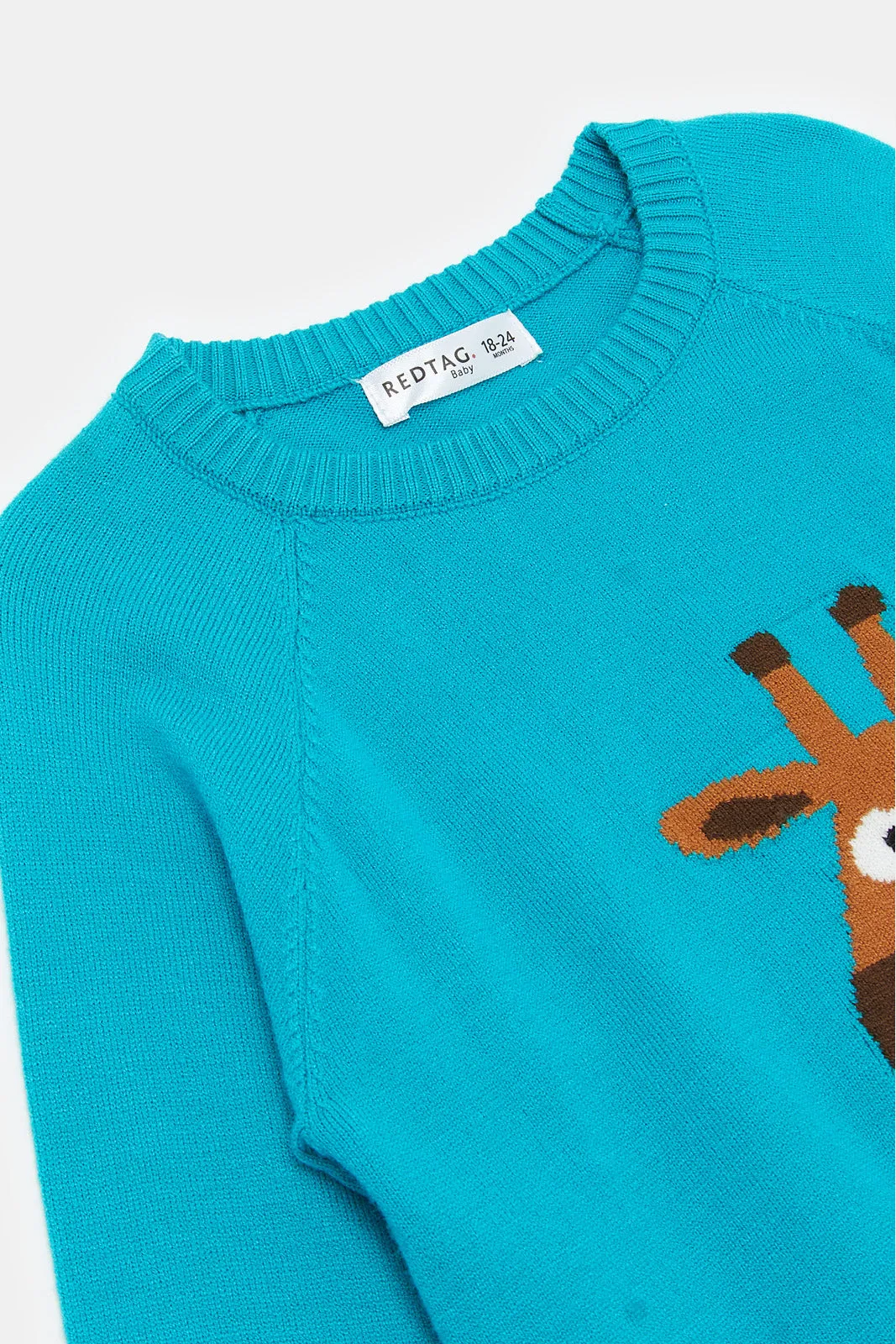 Infant Boys Blue Giraffe Pullover