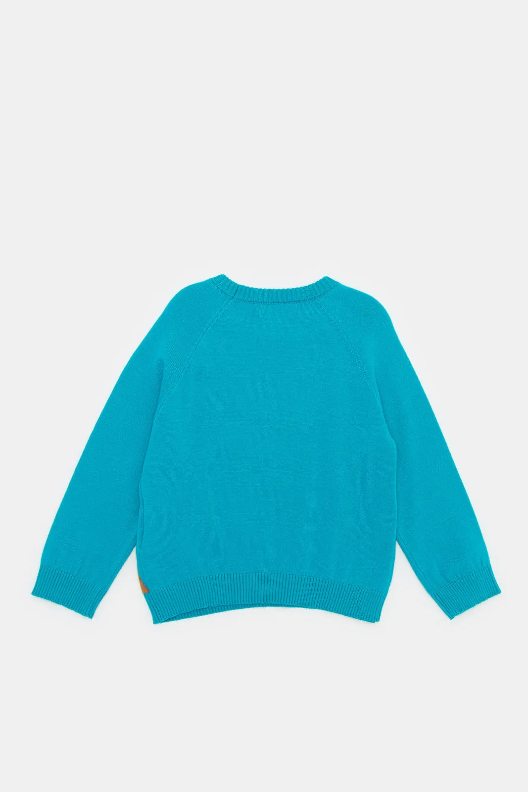 Infant Boys Blue Giraffe Pullover