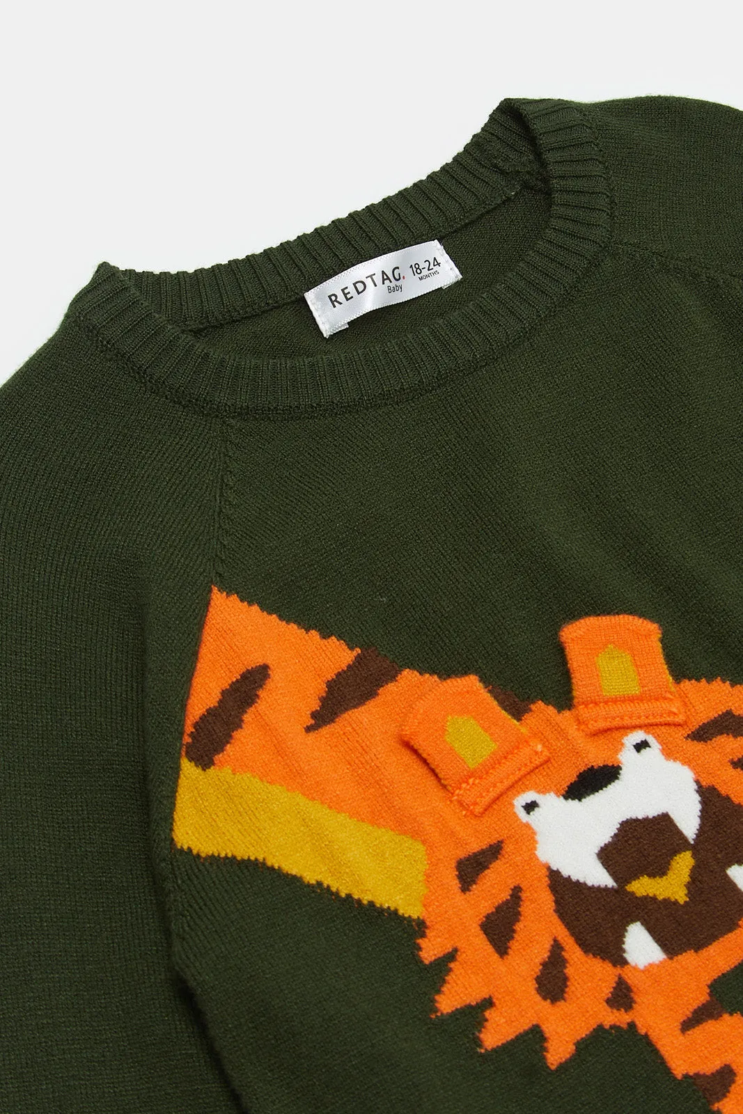 Infant Boys Green Lion Crew Pullover