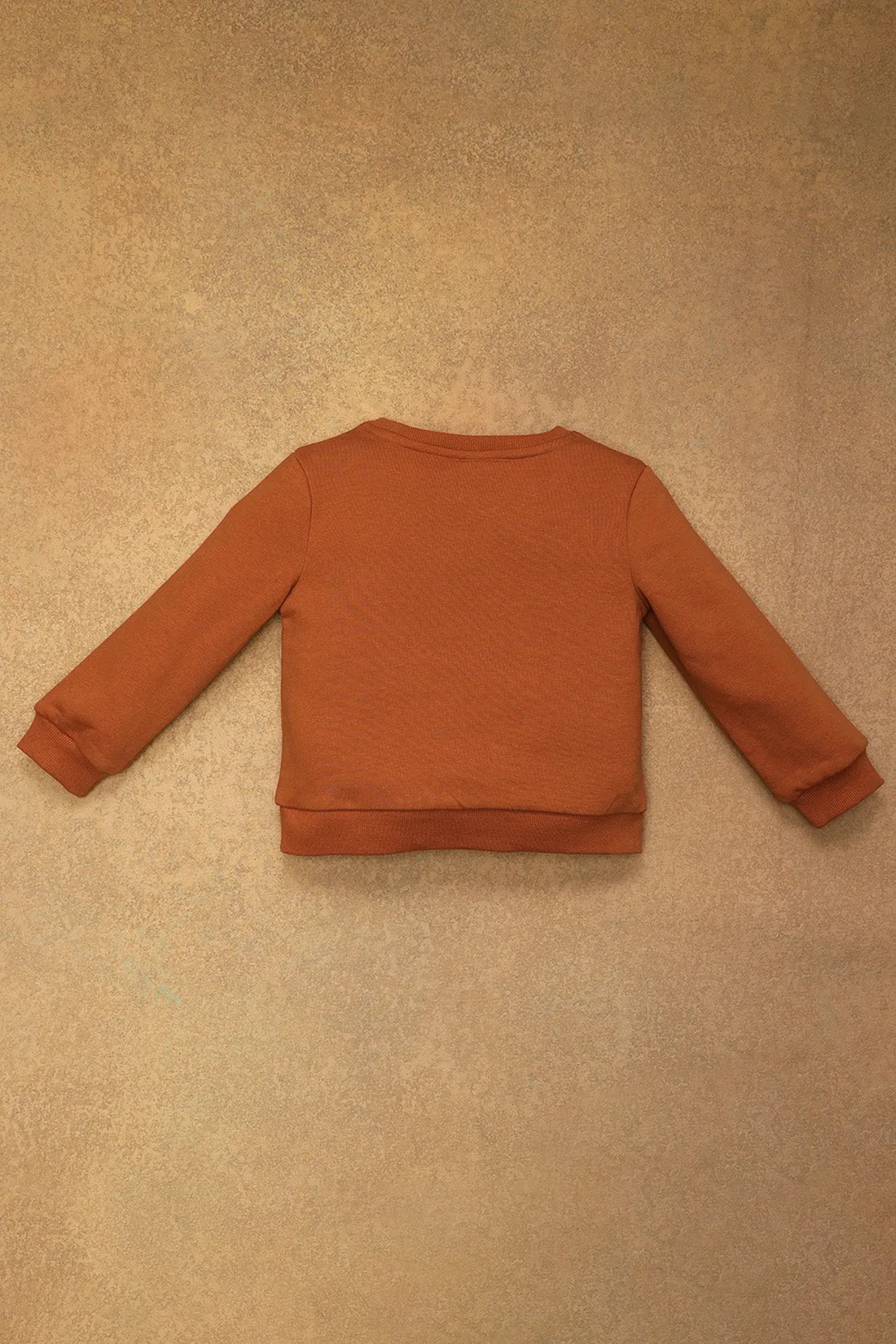 One Friday Baby Boys Orange Teddy Embroidered Sweat Shirt