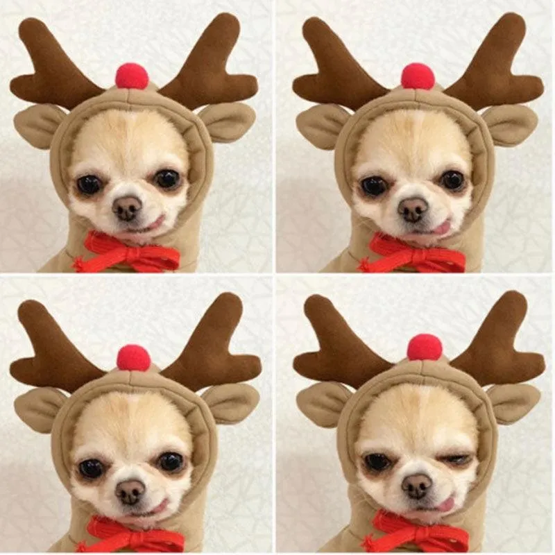 Pet Winter Warm Cute Plush Coat Hoodies