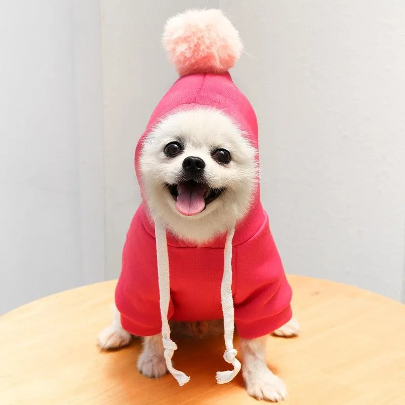 Pet Winter Warm Cute Plush Coat Hoodies