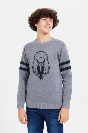 Senior Boys Grey Bird Jacquard Pullover